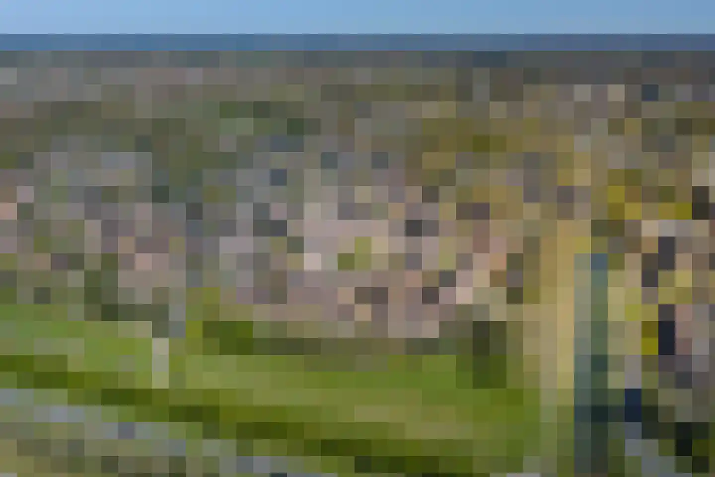 Meerkoet 50 Deventer thumbnail 53