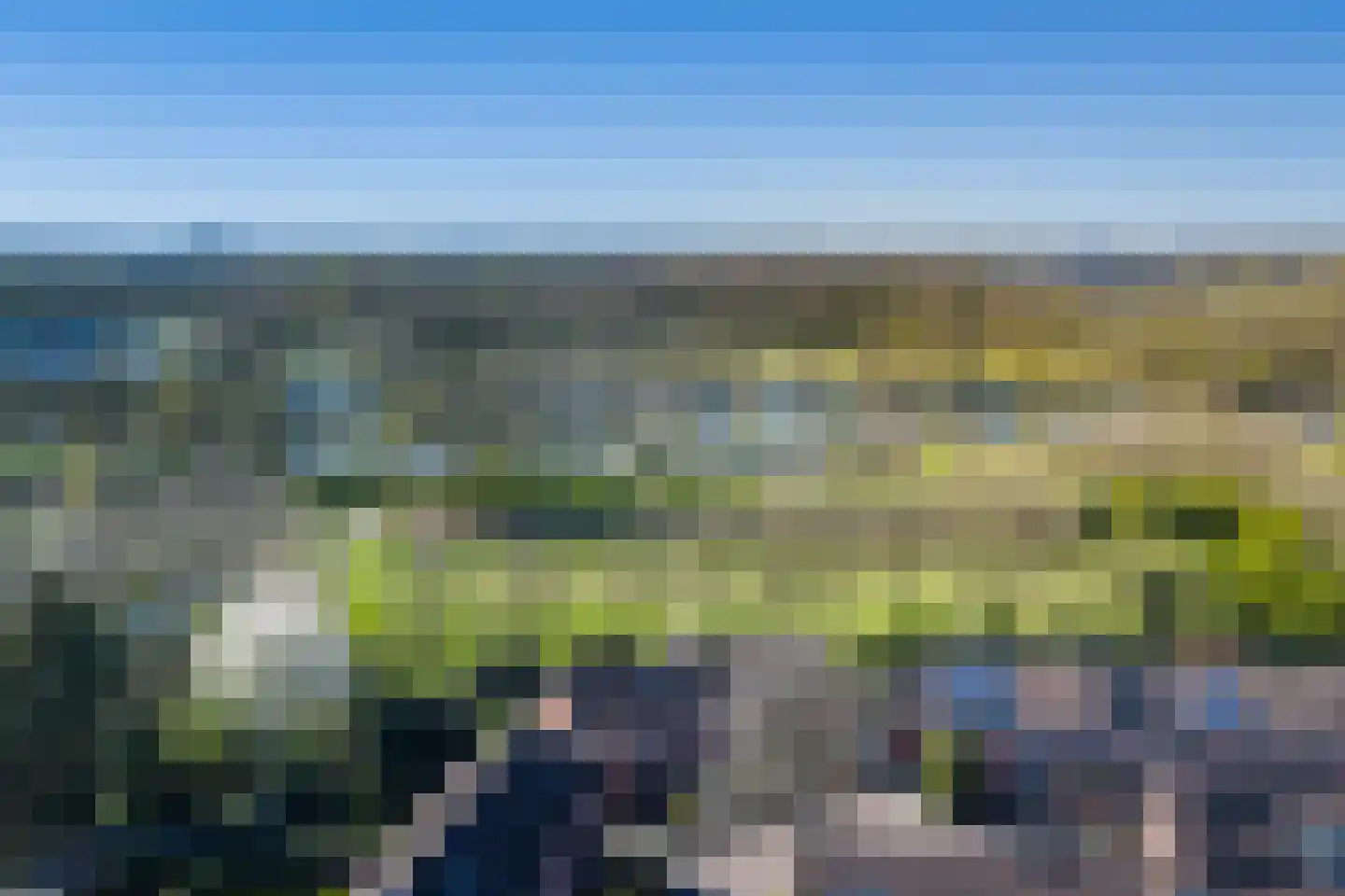 Meerkoet 50 Deventer thumbnail 54