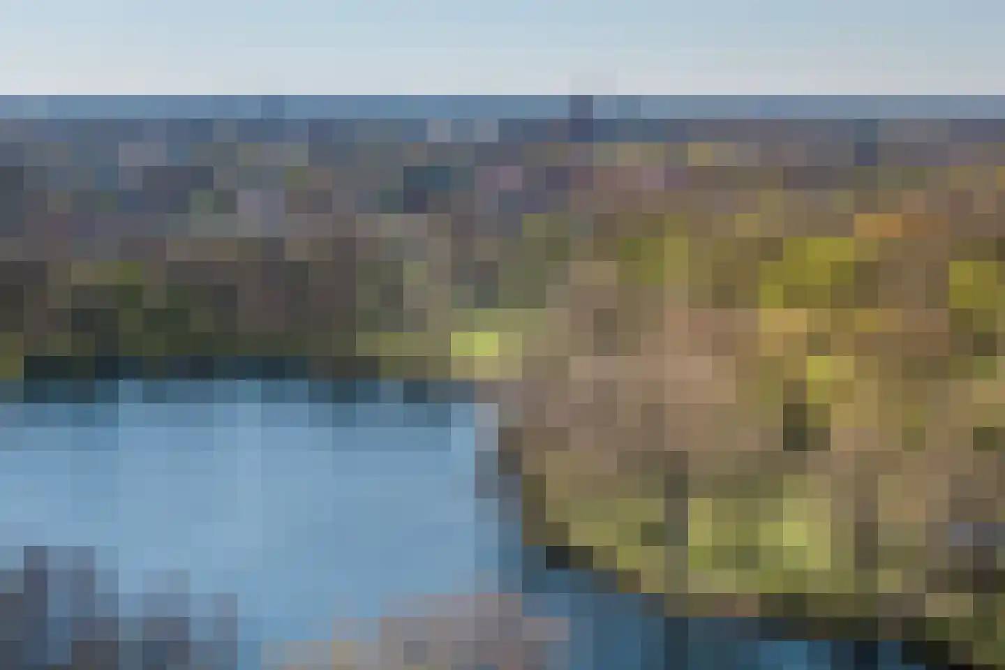 Meerkoet 50 Deventer thumbnail 57