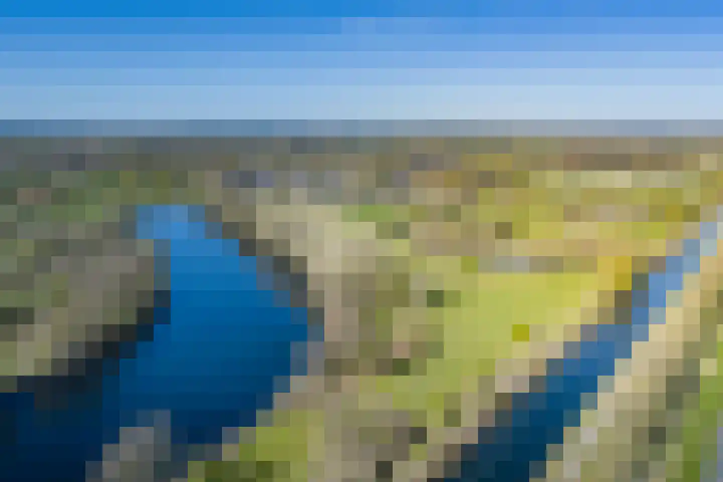 Meerkoet 50 Deventer thumbnail 58
