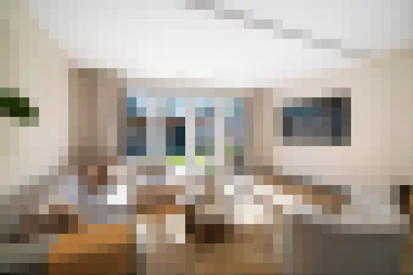 Meerkoet 50 Deventer thumbnail 7