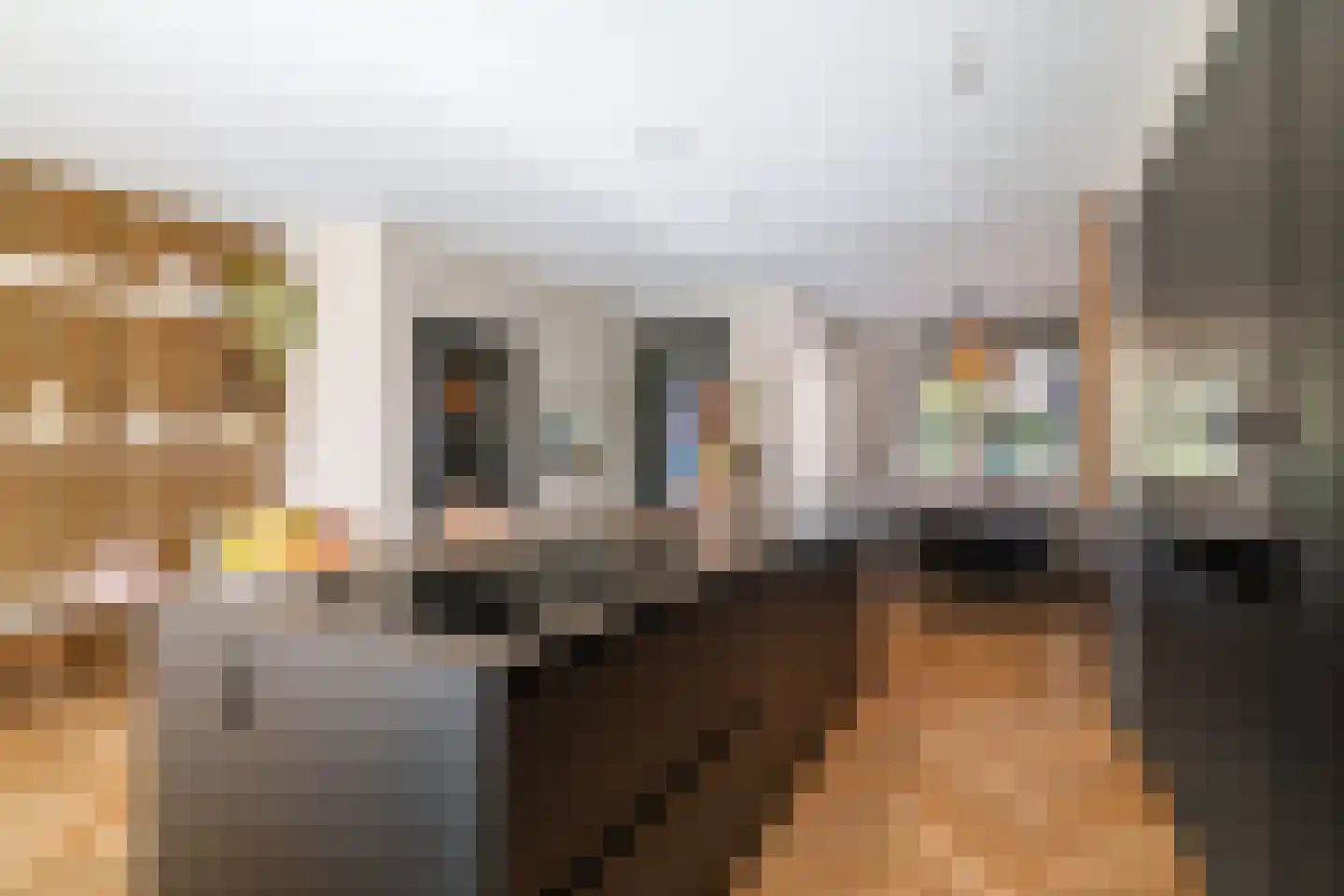 Meerkoet 50 Deventer thumbnail 8