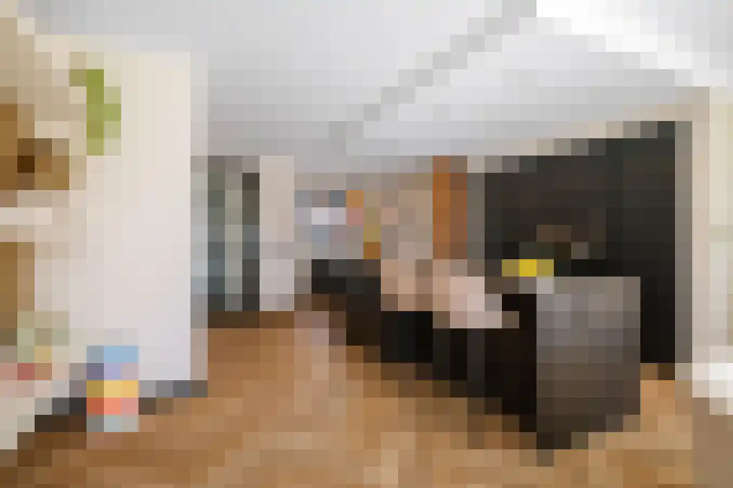 Meerkoet 50 Deventer thumbnail 9