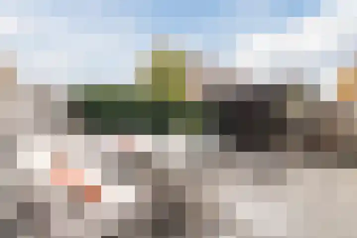 Meerkoet 51 Harmelen thumbnail 36