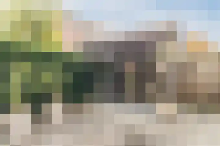 Meerkoet 51 Harmelen thumbnail 37