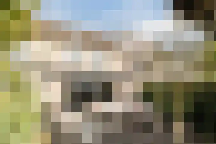 Meerkoet 51 Harmelen thumbnail 39