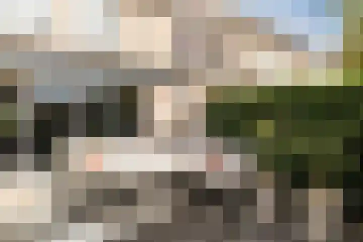 Meerkoet 51 Harmelen thumbnail 42