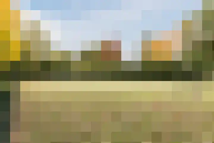 Meerkoet 51 Harmelen thumbnail 47