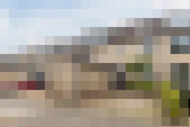 Meerkoet 51 Harmelen thumbnail 5