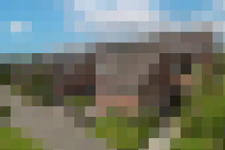 Meerkoet 55 Mijdrecht thumbnail 6