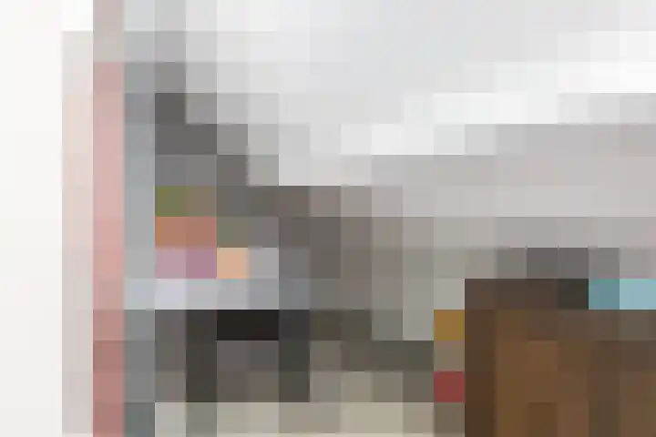Meerkoet 56 Deventer thumbnail 22