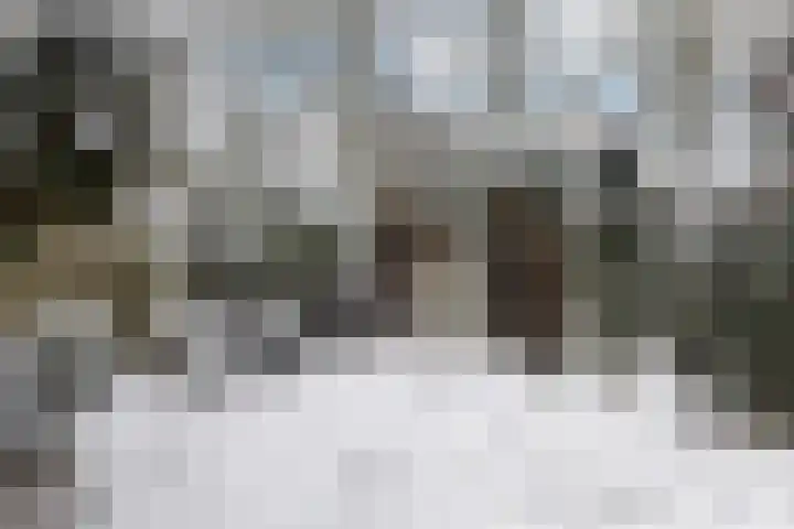 Meerkoet 56 Deventer thumbnail 25
