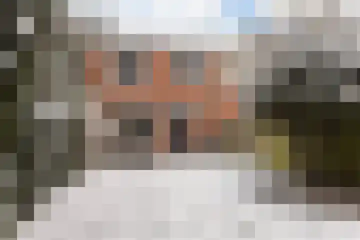 Meerkoet 56 Deventer thumbnail 29