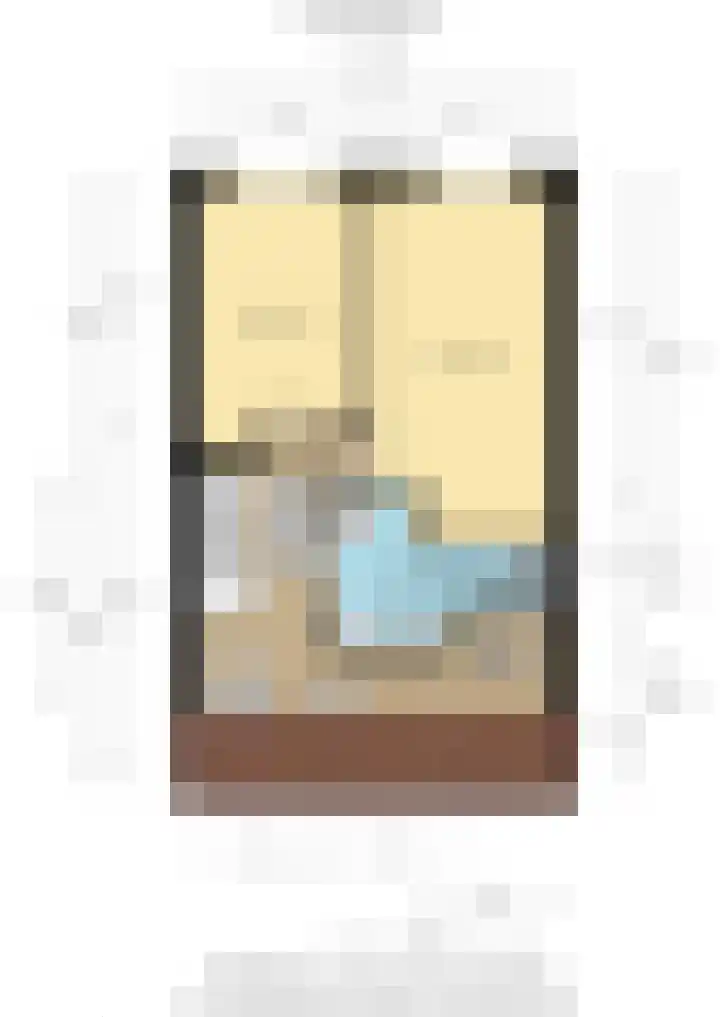 Meerkoet 56 Deventer thumbnail 33