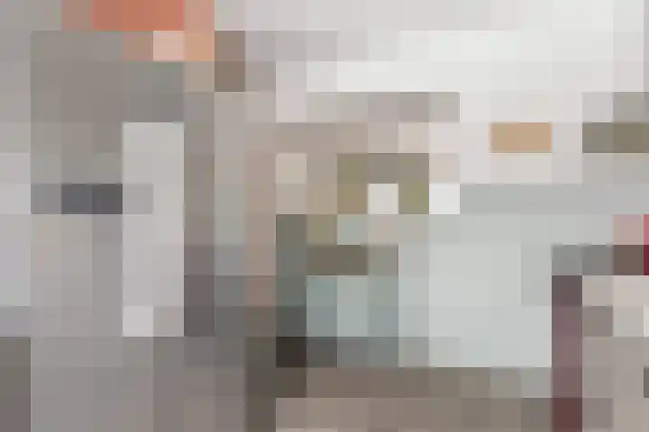 Meerkoet 56 Deventer thumbnail 7