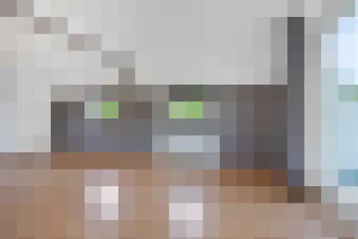 Meerkoet 56 Lathum thumbnail 11