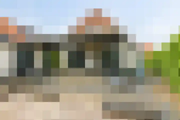 Meerkoet 56 Lathum thumbnail 29