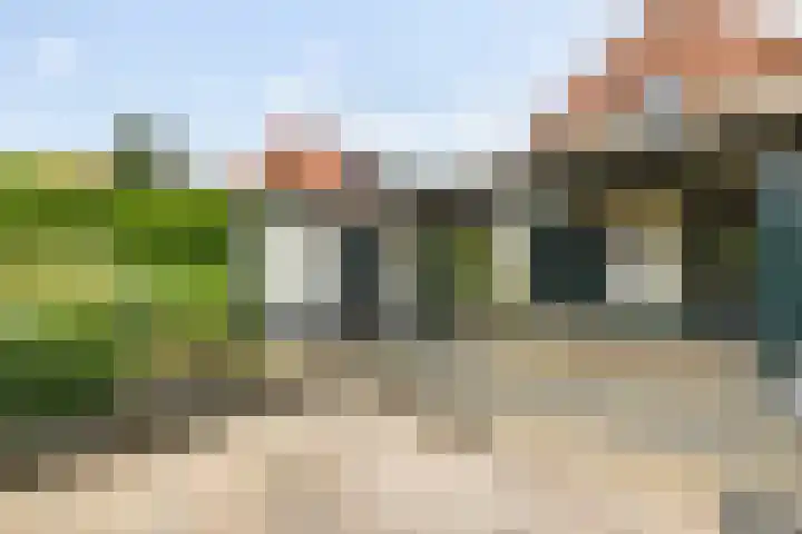 Meerkoet 56 Lathum thumbnail 30