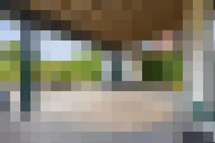 Meerkoet 56 Lathum thumbnail 31