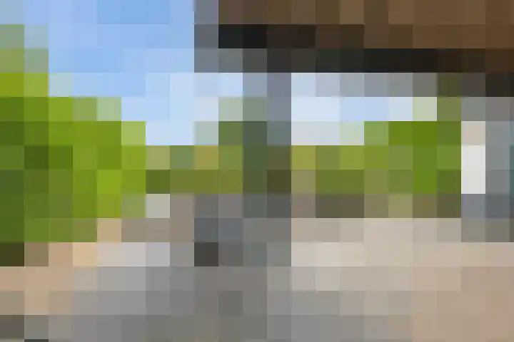 Meerkoet 56 Lathum thumbnail 32