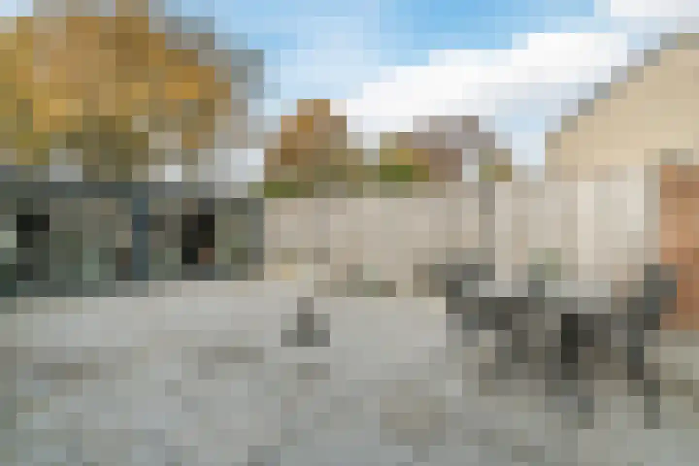 Meerkoet 58 Bunschoten-Spakenburg thumbnail 31