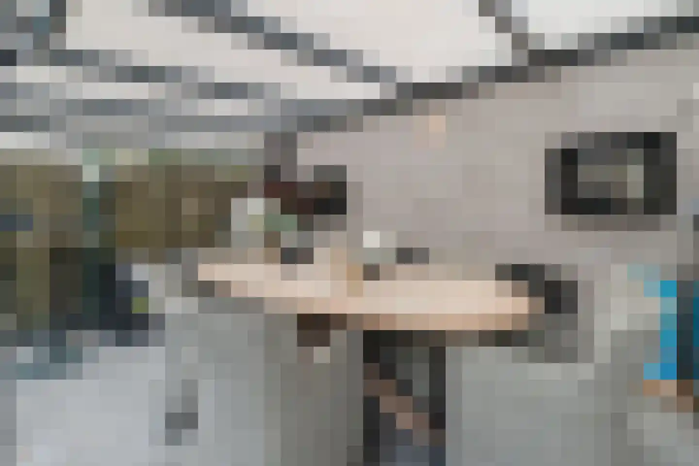Meerkoet 58 Bunschoten-Spakenburg thumbnail 32