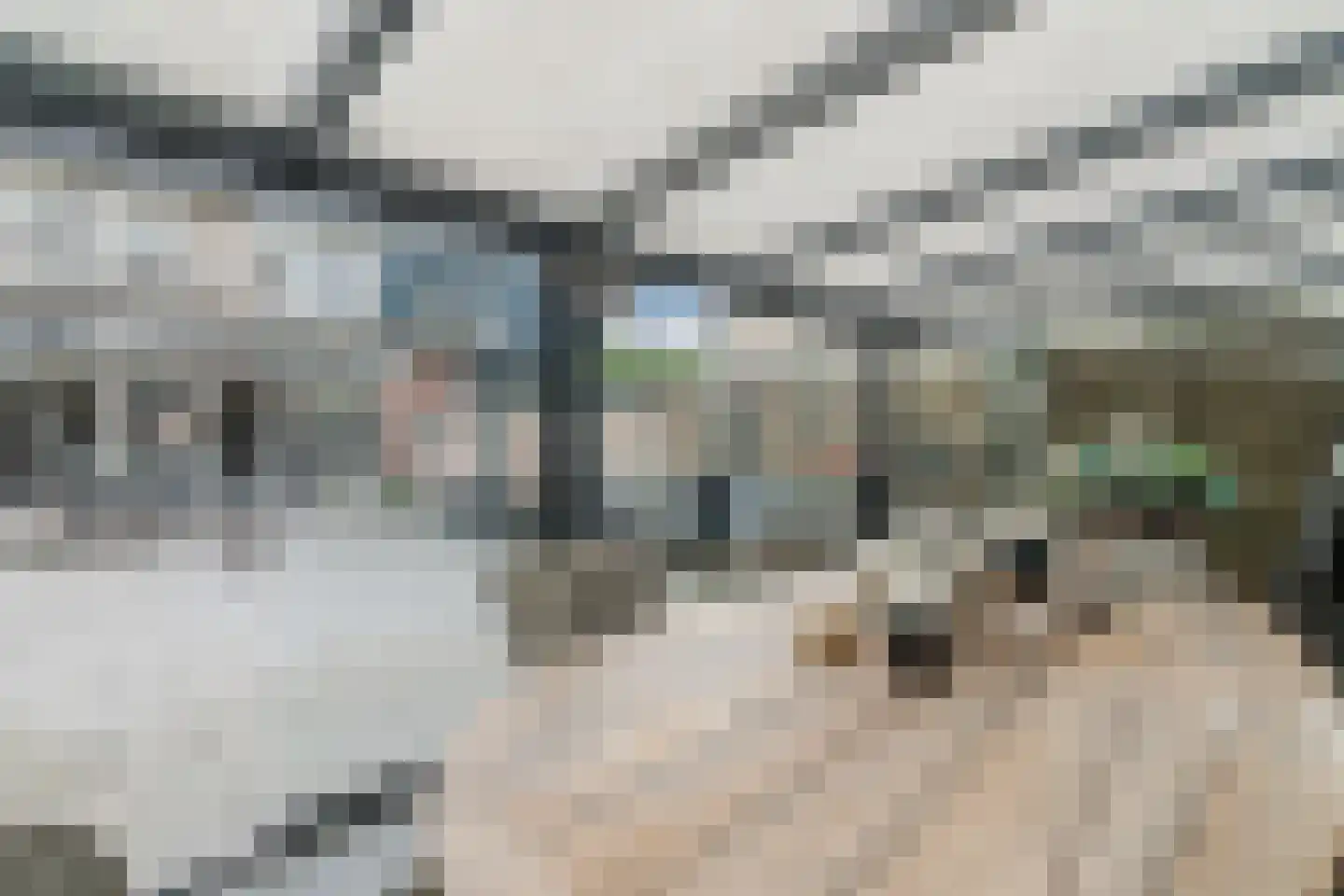 Meerkoet 58 Bunschoten-Spakenburg thumbnail 33