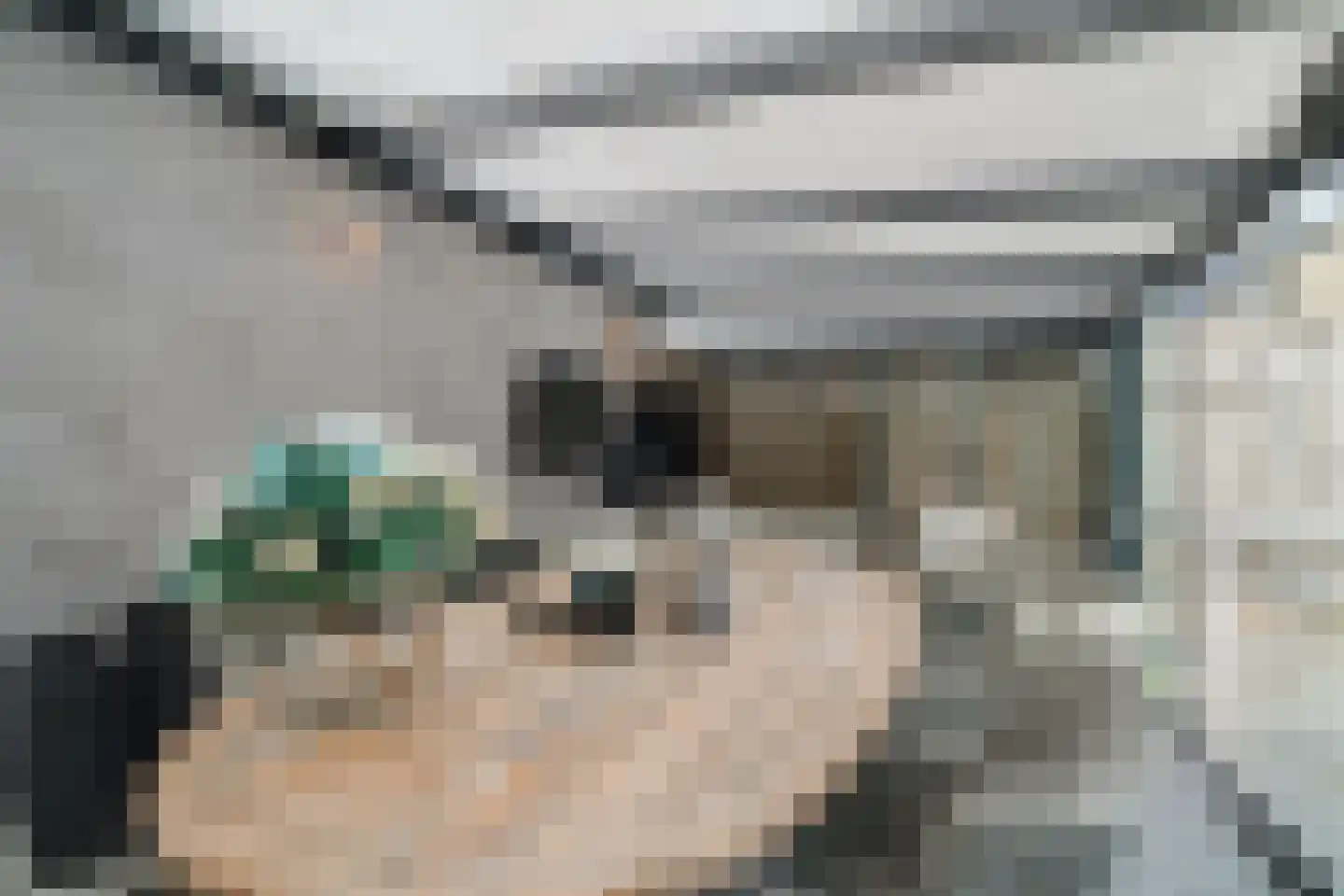 Meerkoet 58 Bunschoten-Spakenburg thumbnail 34