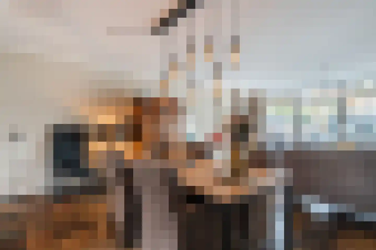 Meerkoet 58 Bunschoten-Spakenburg thumbnail 8