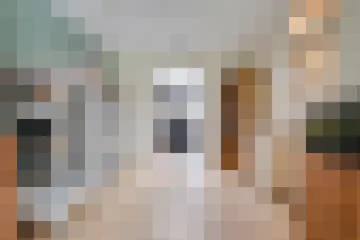 Meerkoet 6 Ommen thumbnail 10
