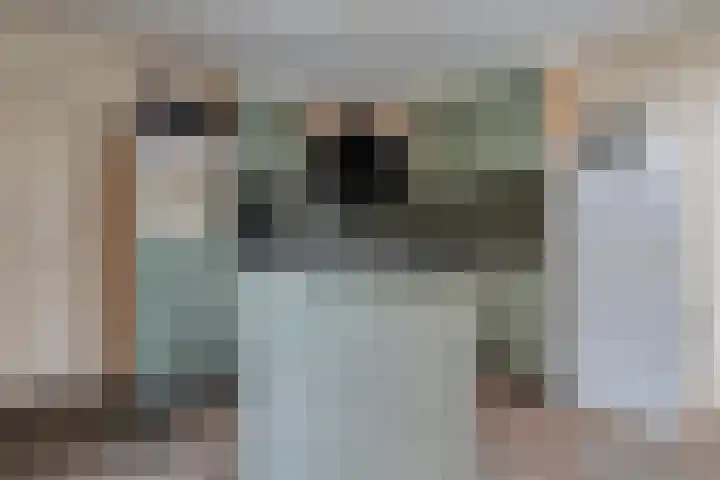 Meerkoet 6 Ommen thumbnail 12