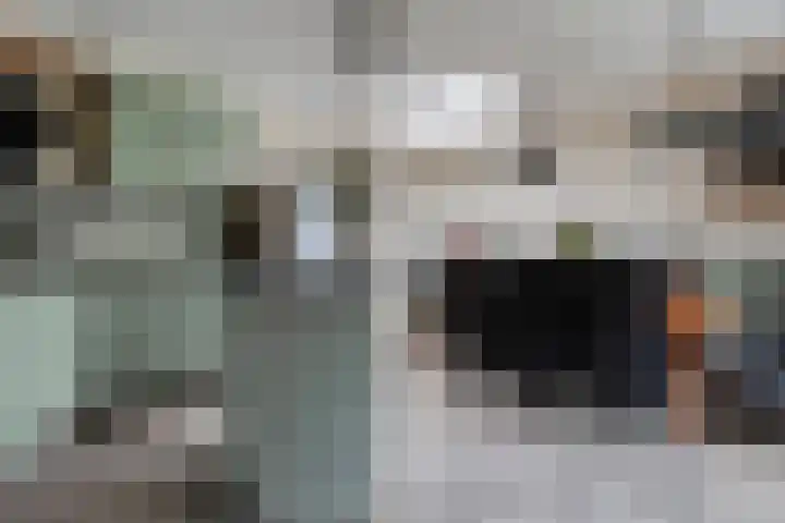 Meerkoet 6 Ommen thumbnail 13