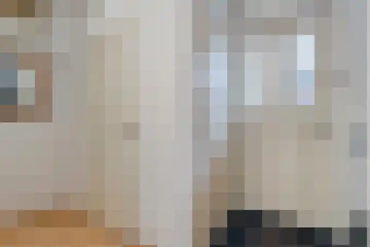 Meerkoet 6 Ommen thumbnail 18