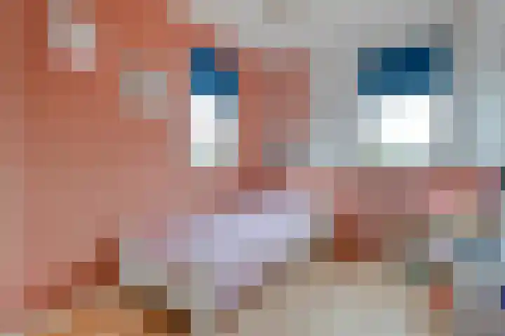 Meerkoet 6 Ommen thumbnail 23