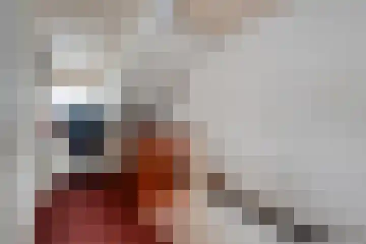 Meerkoet 6 Ommen thumbnail 29