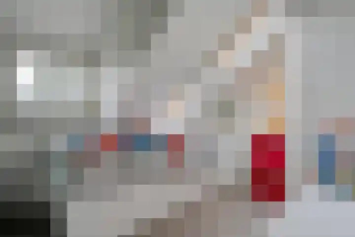 Meerkoet 6 Ommen thumbnail 31