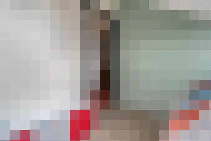 Meerkoet 6 Ommen thumbnail 32