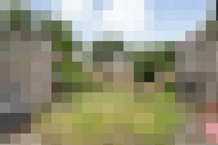 Meerkoet 6 Ommen thumbnail 37