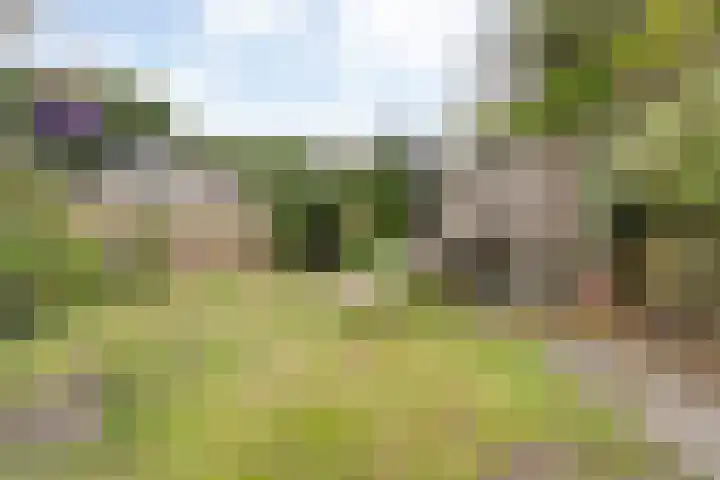 Meerkoet 6 Ommen thumbnail 38