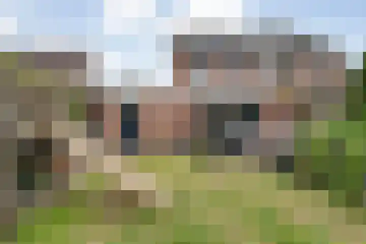 Meerkoet 6 Ommen thumbnail 40