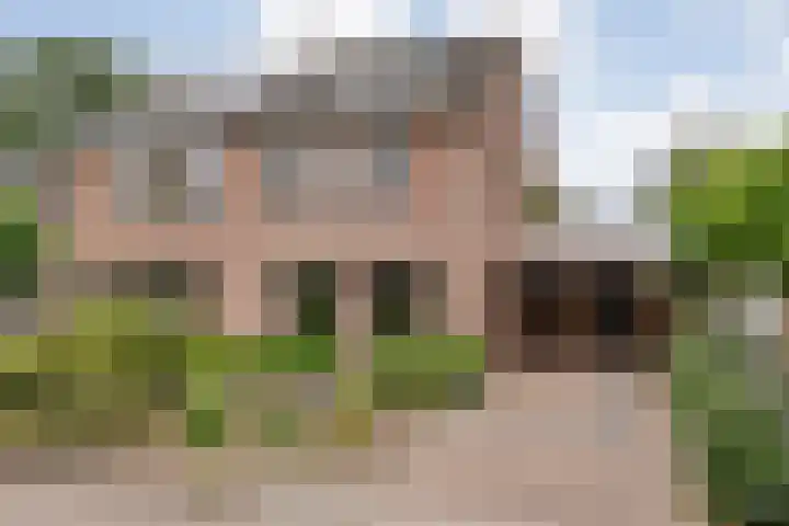 Meerkoet 6 Ommen thumbnail 46