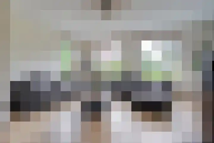 Meerkoet 6 Ommen thumbnail 6