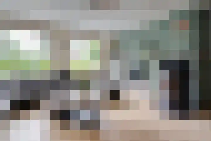 Meerkoet 6 Ommen thumbnail 7
