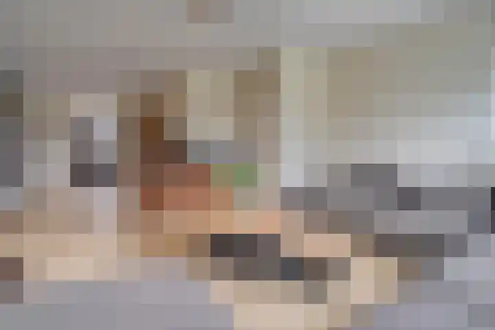 Meerkoet 6 Ommen thumbnail 8