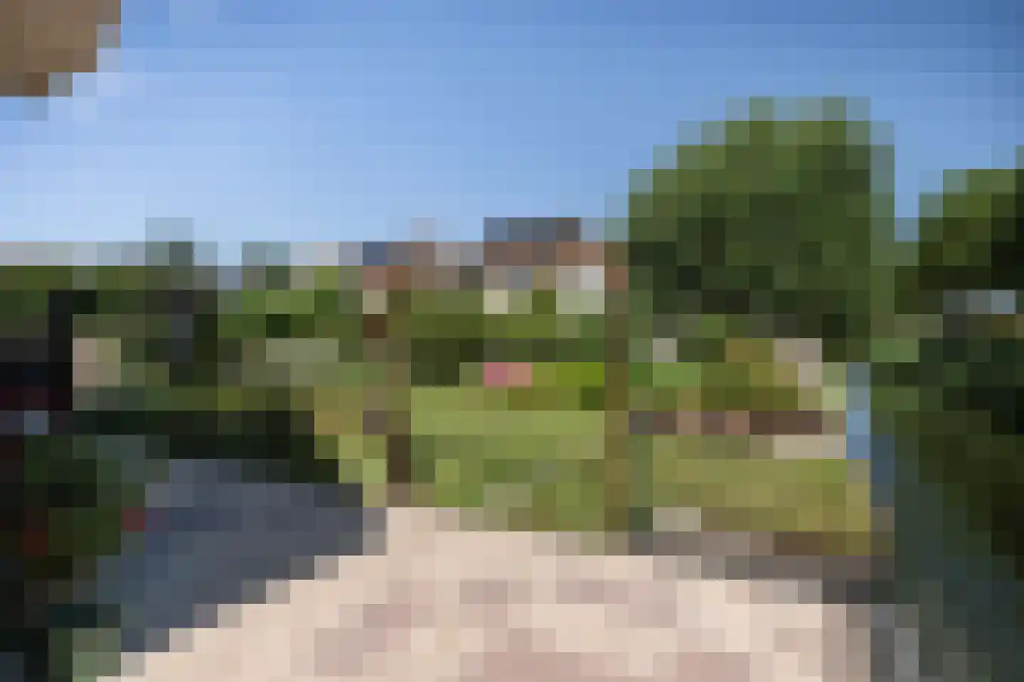 Meerkoet 66 's-Gravenzande thumbnail 10
