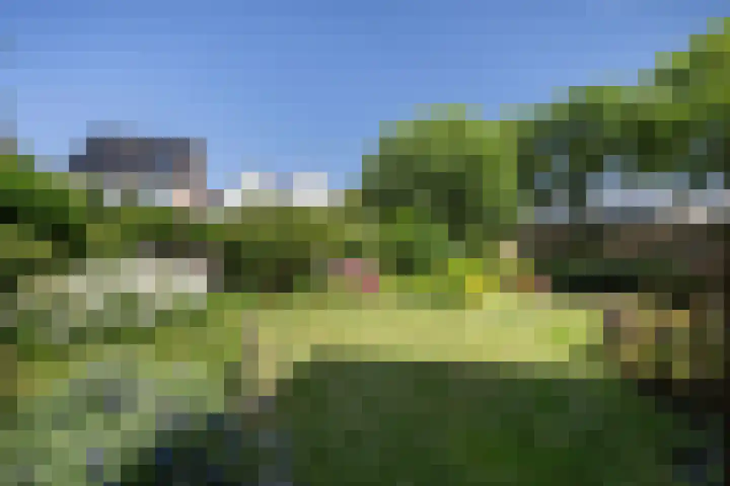 Meerkoet 66 's-Gravenzande thumbnail 11