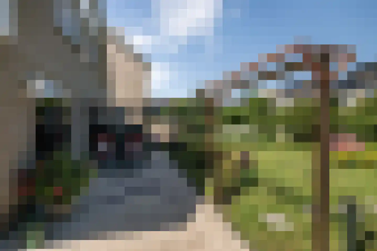 Meerkoet 66 's-Gravenzande thumbnail 12