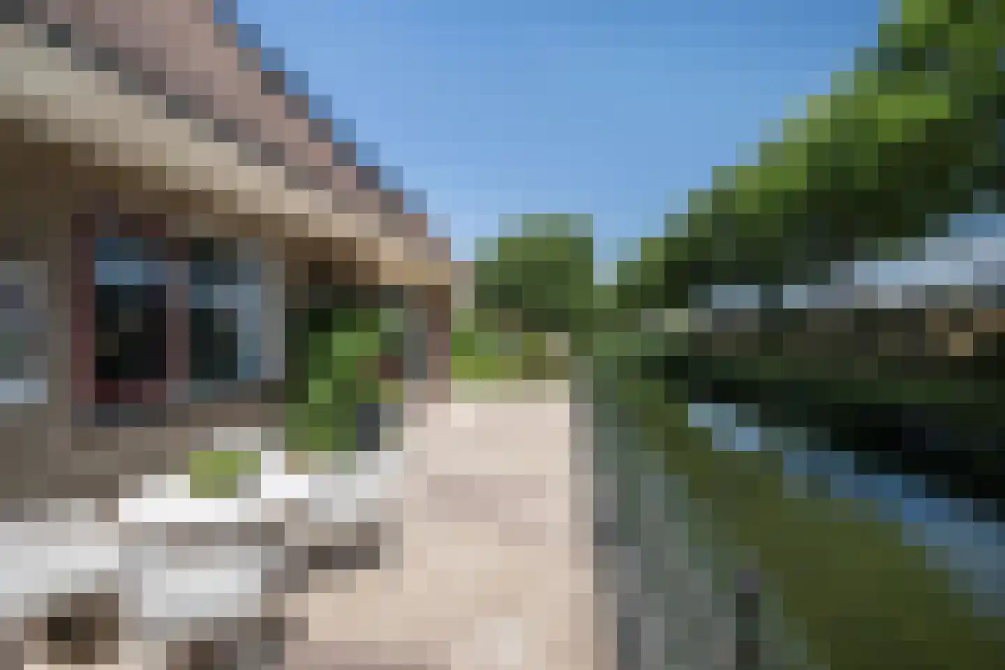 Meerkoet 66 's-Gravenzande thumbnail 14