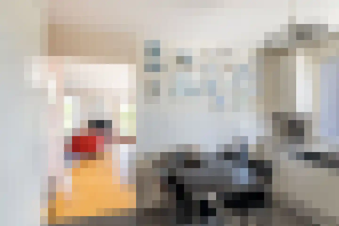 Meerkoet 66 's-Gravenzande thumbnail 20