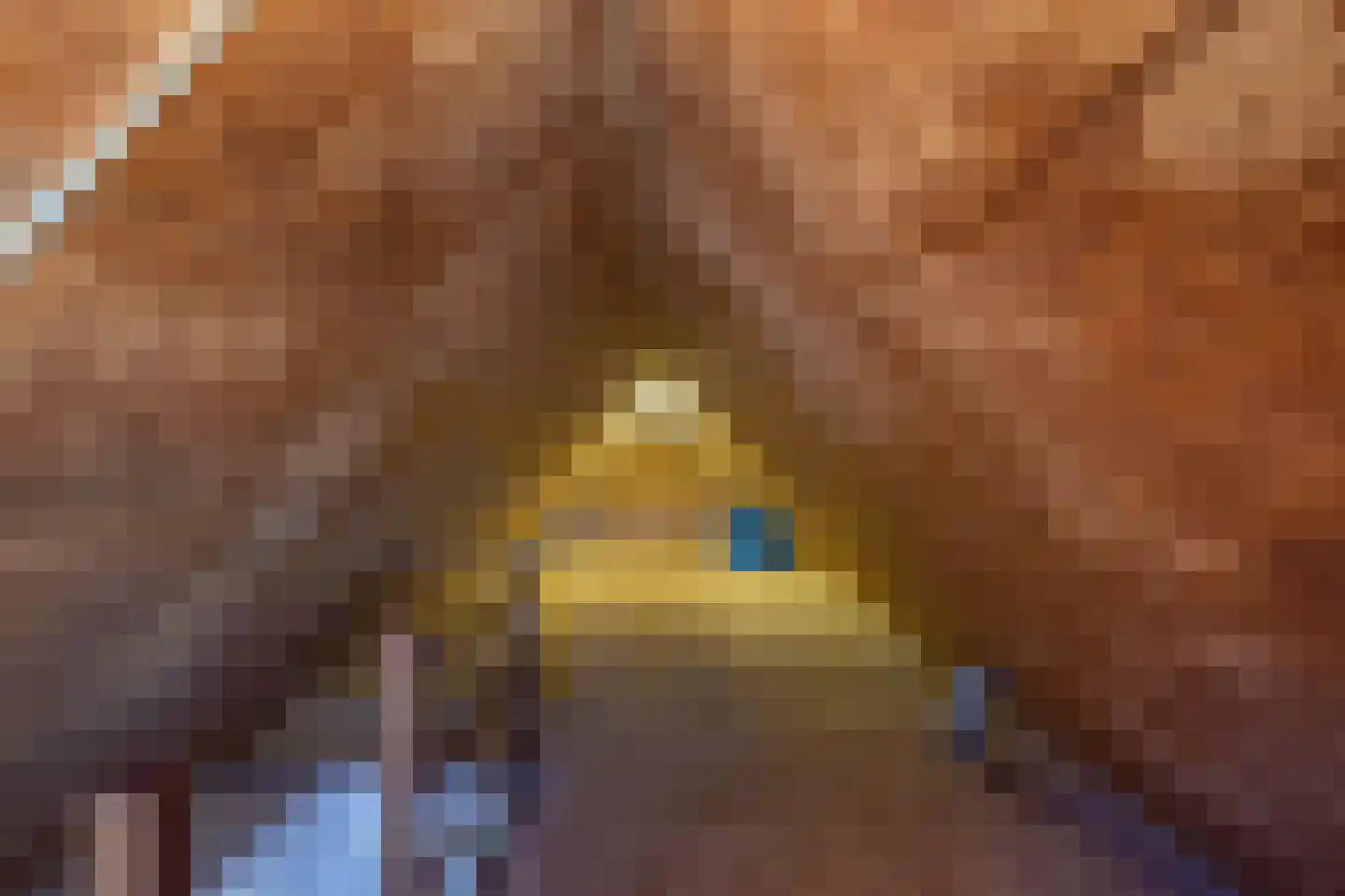 Meerkoet 66 's-Gravenzande thumbnail 41